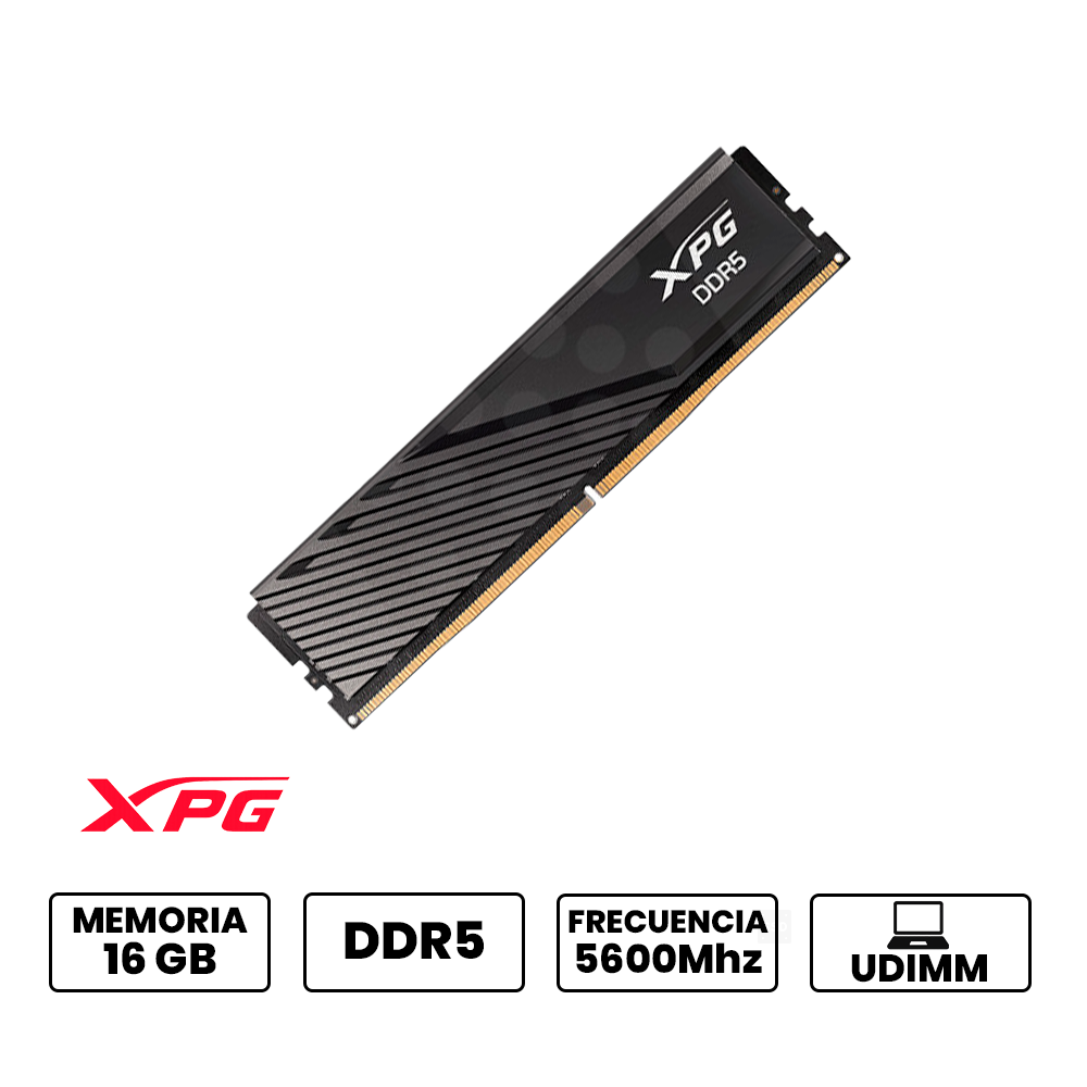 AX5U5600C4616G-SLABBK